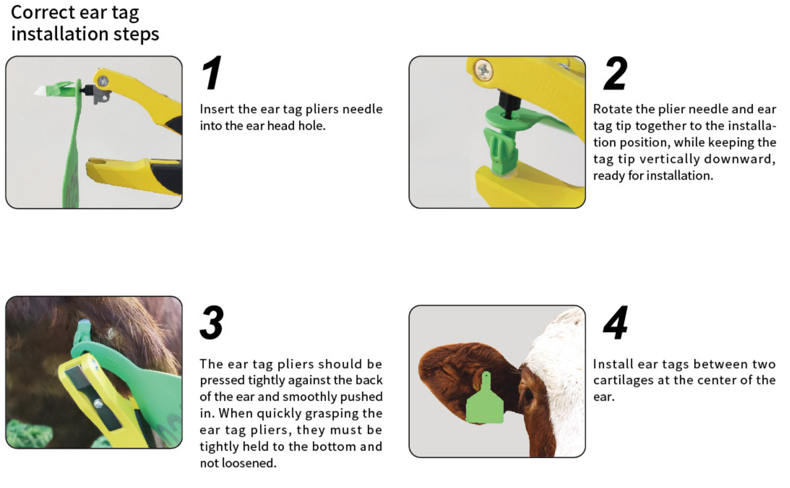 One Piece Ear Tag Installation