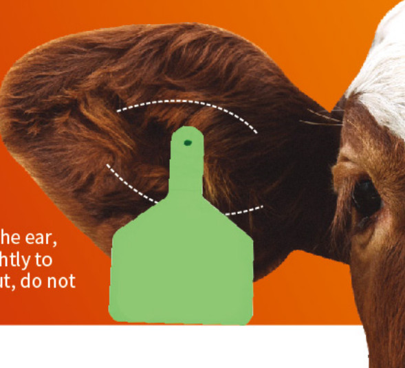 RFID Tag Deployment Diagram