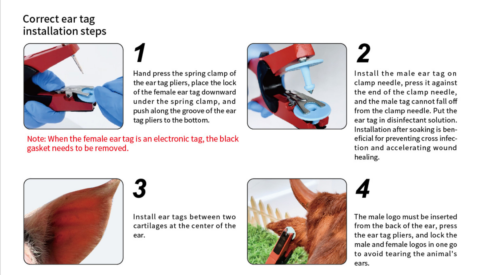 Two Piece Ear Tag Installation